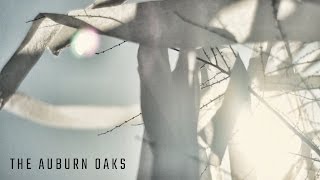 The Auburn Oaks: A Tradition Unlike Any Other