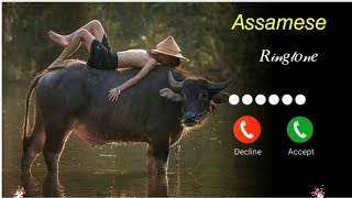 ASSAMESE RINGTONE 2023 || NEW AKHOMIYA RINGTONE , ASSAMESE SONG  (mood ❤ Assamese new ringtone 2023)