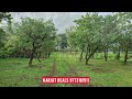 road touch 3.5 acre ready farmhouse for sale in karjat with big trees karjat deals 09773181911