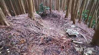 Ura1Dちょこっと登山・・天ヶ滝新道の裏道１復路