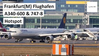 Airbus A340-600 Hotspot Frankfurt Airport | Alex E | Planspotting