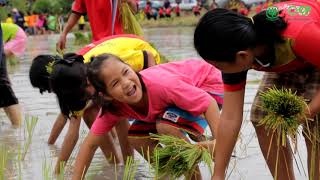 โรงเรียนต้นแบบสู่ความยั่งยืน