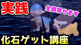 【アルセウス】タテトプス・ズガイドス捕獲の一部始終お見せします！【解説】