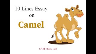 10 lines on Camel  🐪 | Short essay on Camel