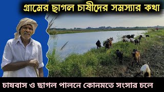 গ্রামের ছোট ছাগল চাষীদের সমস্যার কথা ||Domestic goat rearing in villages and its problems।