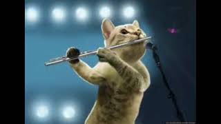 Roddy Rich - Ballin Flute Cat.  Goes hard, trust