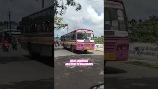 TNSTC TNV #nagercoil #tirunelveli #townbus #pinkbus #tvkvijay #trending #bus #oldbus #tnstc #200k