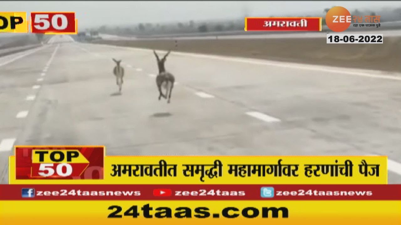 Deers Raceing On Samruddhi Highway | समृद्धी महामार्गावर हरणांची बेधुंद दौड; पाहा व्हिडीओ