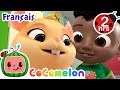 Jelly Bean | Chansons pour Bébés | CoComelon Le coin des Animaux de JJ - Comptines