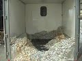 shred truck unloading shredded paper