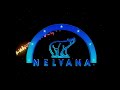 nelvana logo history