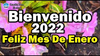 Feliz mes de Enero Deseo un feliz año nuevo para ti Bienvenido 2022