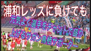 🟡浦和レッズに負けても元気よく選手を盛り上げてチャントを歌うサガン鳥栖サポーター❗️shorts＃Jリーグ＃サポーター＃チャント＃浦和レッズ＃サッカー日本代表＃日本代表＃本田圭佑＃メッシ＃ネイマール