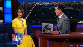 Lizzy Caplan S Cat Is Named Colbert