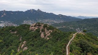 [과학독서클럽] 겸재정선과 쥐라기 대보조산운동 feat. 인왕산 연리지가 만들어낸 이끼의 행운