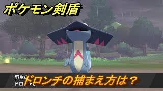 ポケモン剣盾　ドロンチの出現場所は？オススメの場所は？天気は？ポケモン図鑑コンプへの道！　最新版【ポケモンソード・シールド】