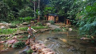 2 years living in forest build pond raise school of carp, Harvesting \u0026 catching fish after 1 year