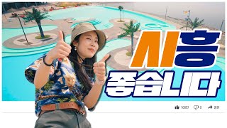 소울리스좌❌ 텐션좌의 등장! 시흥, 좋~습니다!