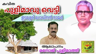 പുളിമാവു വെട്ടി / ഇടശ്ശേരി ഗോവിന്ദൻ നായർ /pulimavuvetti/ Idasseri/ Manoj pulimath/ std9/class9