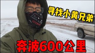 為了尋找流浪狗小黃兩兄弟，來回奔波600公里，下著暴雪的無人區，九點能否再和它們相遇？| 九點探遊中國