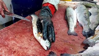 Filleting Trout (4 fish in one minute)