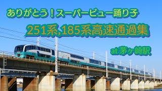 【爆音通過・引退間近！】特急踊り子号(185系)・スーパービュー踊り子号(251系)による爆音高速通過集