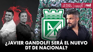 ¿Javier Gandolfi será el nuevo DT de Nacional? | El Pulso del Fútbol