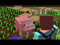 【たこらいす】ほのぼのマイクラゆっくり実況 ＰＡＲＴ３４１　【マインクラフト】　（整地革命の感動がゲップで！ ゜Д゜ ）