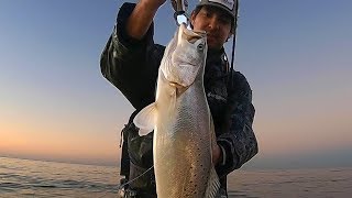 INSANE Speckled Trout Feeding Frenzy! Winter Wade Fishing with Artificial Lures for BIG Trout