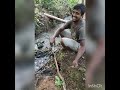 crab hunting ಮಲೆನಾಡಲ್ಲಿ ಏಡಿ ಹಿಡಿಯುವ ಕಲೆ