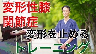 変形性膝関節症の痛みと変形を止める！２つのトレーニング方法｜兵庫県西宮市ひこばえ整骨院