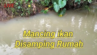 Kang Doni sedang live sekarang! Mancing Ikan Disamping Rumah