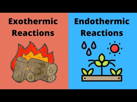 What happens to the energy released by an exothermic reaction?