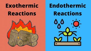 Exothermic vs Endothermic Chemical Reactions
