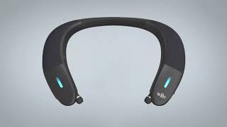 BeHear PROXY Flexible Neck Speaker