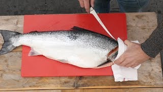 How To FILET a WHOLE SALMON - - Easy to do!