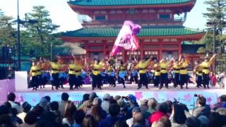 華羅紅 さくらよさこい 2017 二日目 岡崎公園