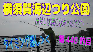 釣り動画ロマンを求めて 439釣目（横須賀海辺つり公園）