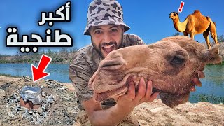 تحضير أكبر طنجية 😱 برأس الجمل 😋🔥🐫