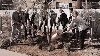 Maricopa County Invests in Affordable Housing Complex