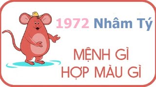 Những người sinh năm 1972 mệnh gì và tuổi gì?