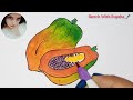 papaya drawing with colours papaya drawing easy @sketchwithrupsha