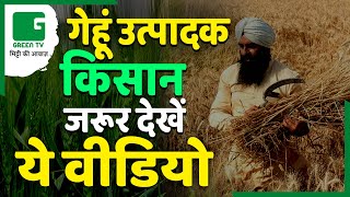 किसान जो करते है गेहूं की खेती उनके लिए खास | रबी फसल प्रबंधन | Green TV Kisan Chaupal In Sangrur