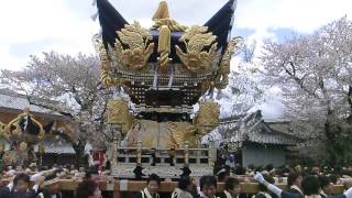 北条節句祭　本宮　栗田　御旅所　屋台練り歩き