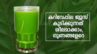 Incredible Benefits Of Curry Leaves Juice |ആരോഗ്യ ഗുണങ്ങളേറെയുള്ള കറിവേപ്പില ജ്യൂസ്