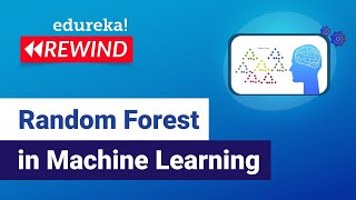 Explore Random Forest Algorithm | Machine Learning Training | Edureka | ML Rewind - 3