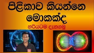 පිළිකාව කියන්නේ මොකක්ද - What is a Cancer - Sinhala Medical Health Tips - Sl notes