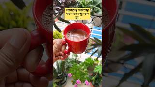 প্রতিটি সকাল এতো স্নিগ্ধ হোক😍#goodvibes #goodmorning #foryou #tea #tealover #shortvideo #shorts #fy