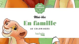 Disney Mini Bloc En Famille ~ Hachette Heroes