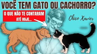 CHOCANTE: Revelado Profecias para Quem tem Gatos ou Cachorros.Chico Xavier Previu. Cachorro ou Gato?